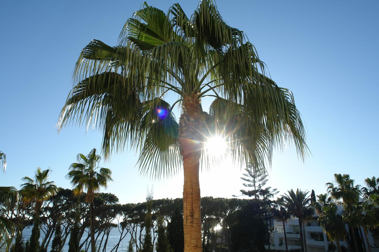 Marina Mariola Marbella Hotel Exterior photo